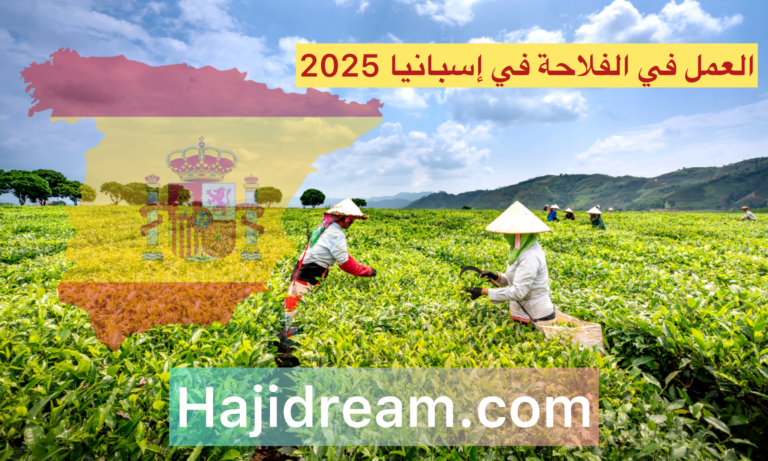 العمل في الفلاحة في إسبانيا لسنة 2025